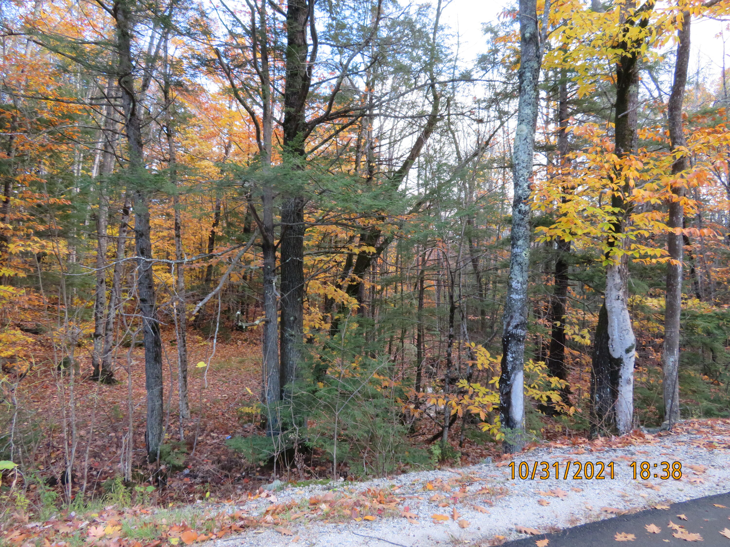 0 Maple Ridge Road Harrison, ME 04040 - Photo 3 of 4 IMG_2268