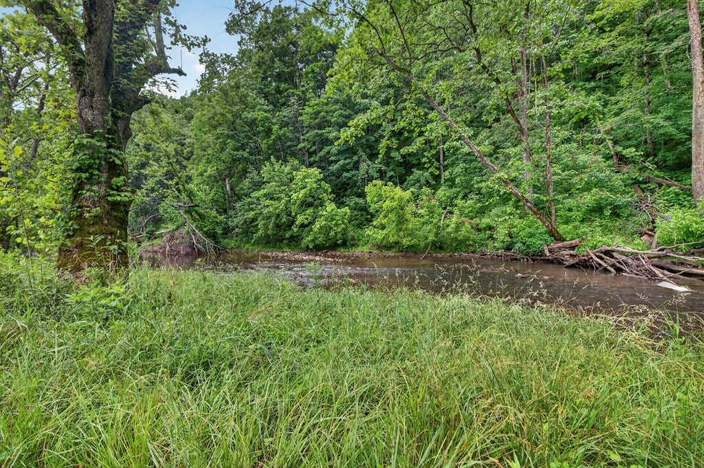 Tbd River Mountain Road Lebanon, VA 24266 - Photo 3 of 20 Gallery Image 3