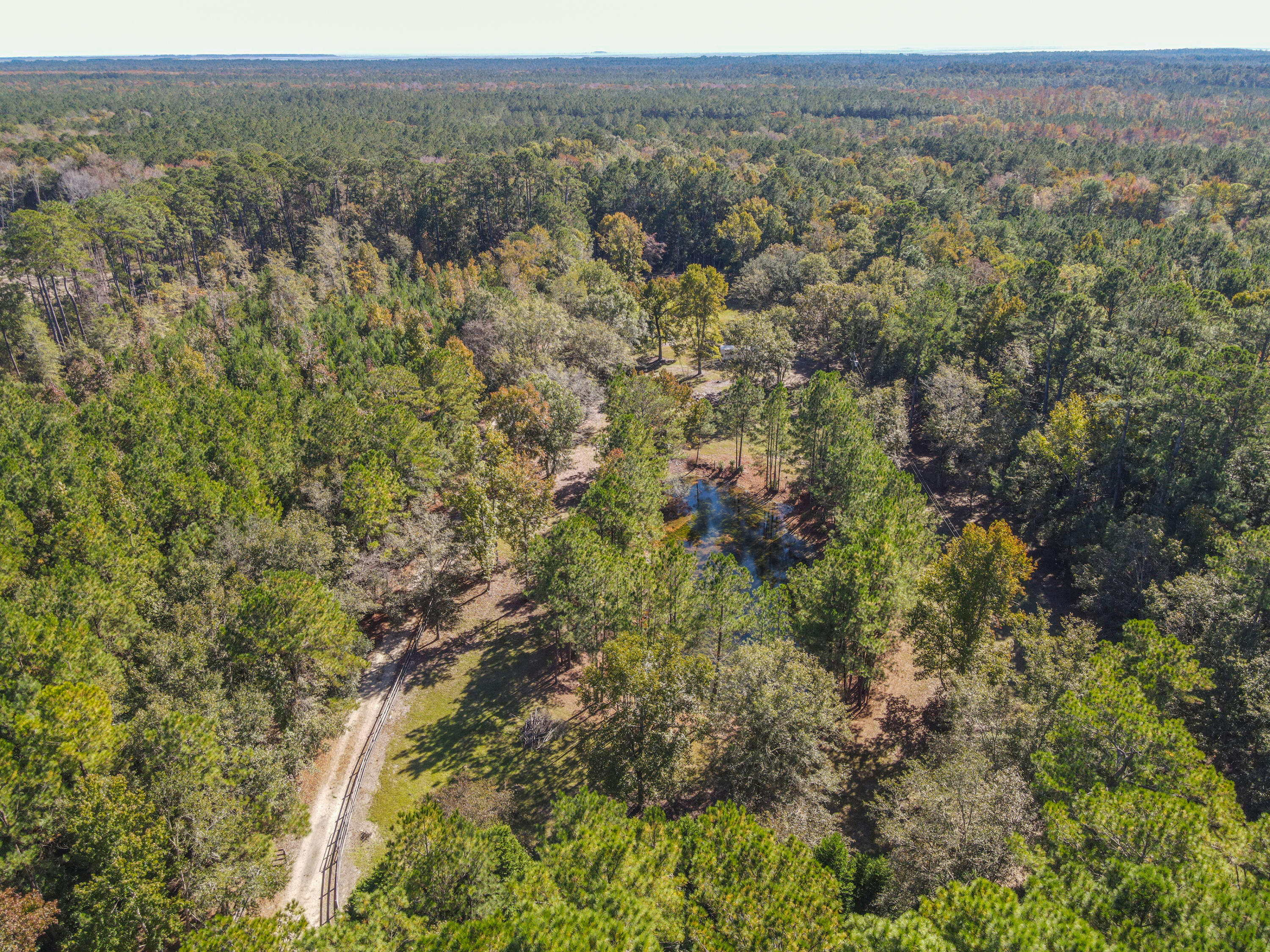 1859 Bellfield Road McClellanville, SC 29458 - Photo 53 of 59 tree farm