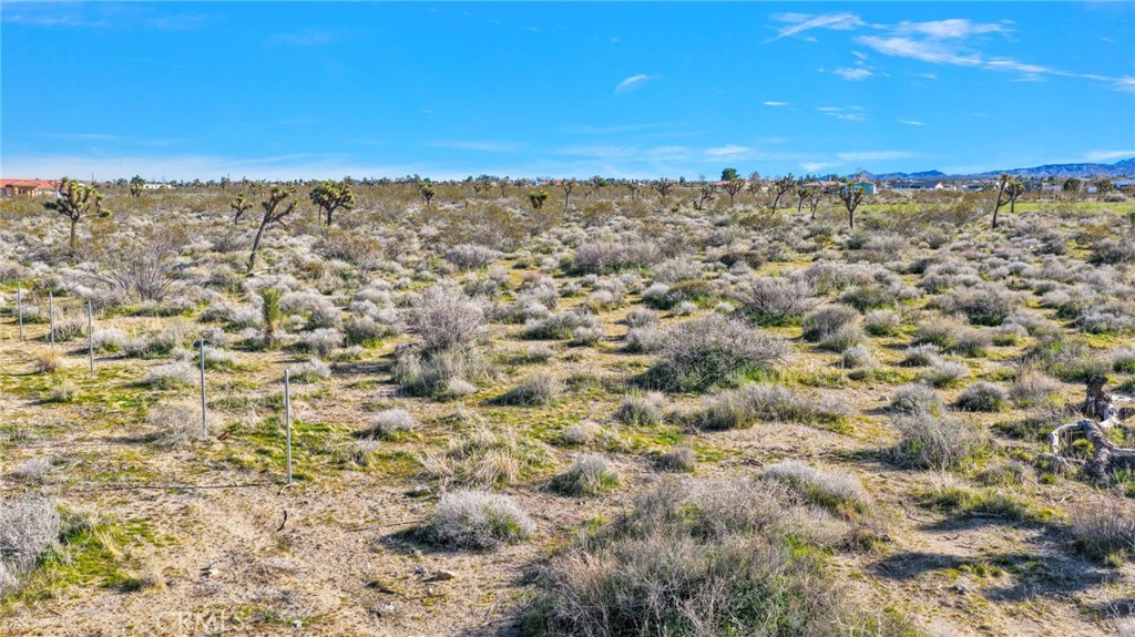 11982 Redwood Road Pinon Hills, CA 92372 - Photo 13 of 14