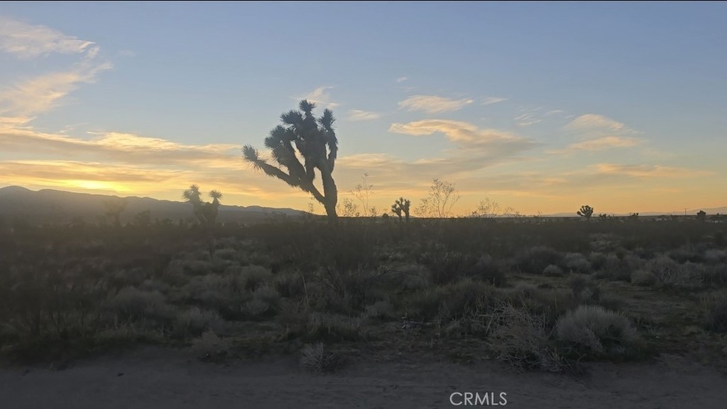 11982 Redwood Road Pinon Hills, CA 92372 - Photo 14 of 14 a view of a sky