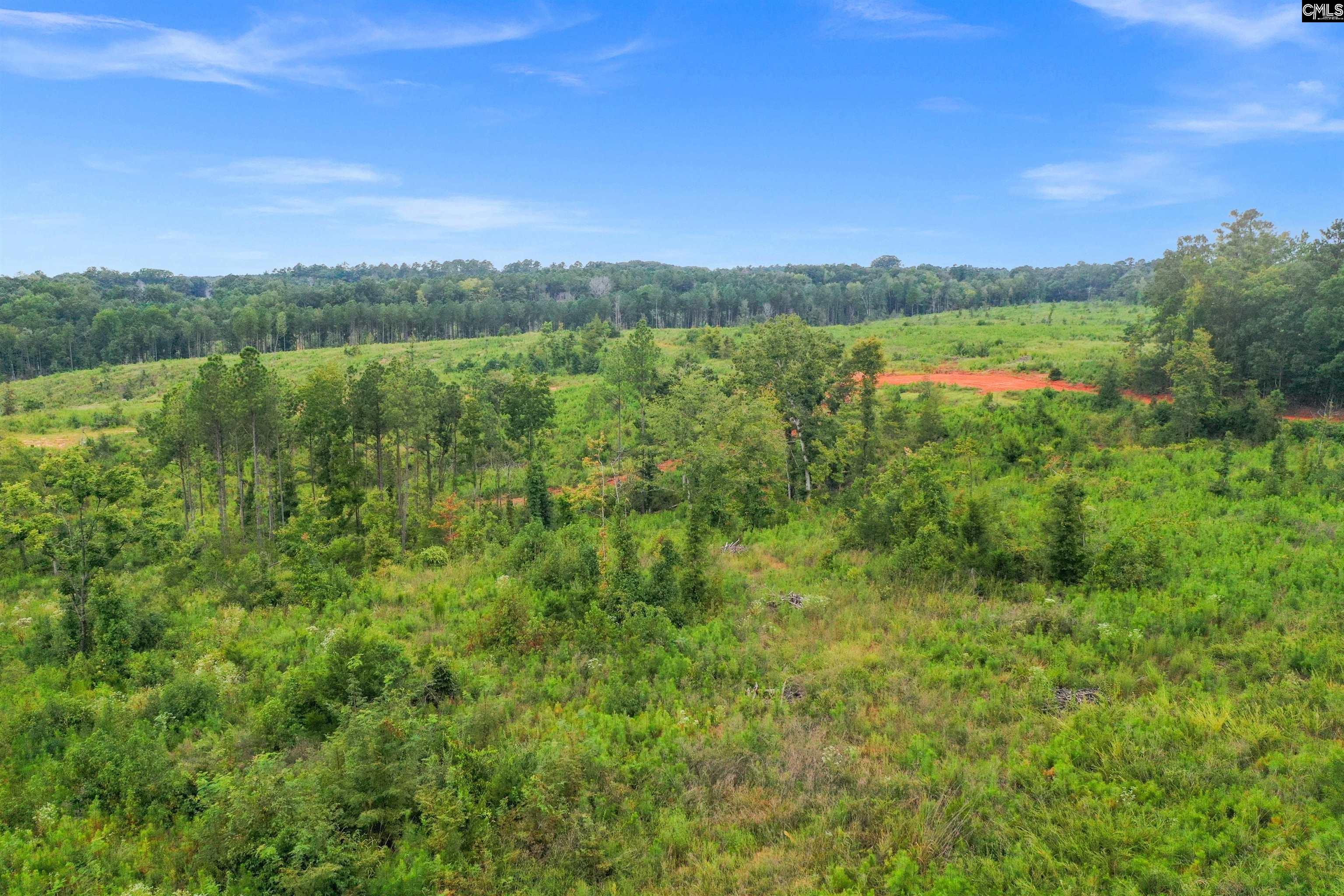 0 Penner Road, Unit 7 Jenkinsville, SC 29065 - Photo 8 of 36