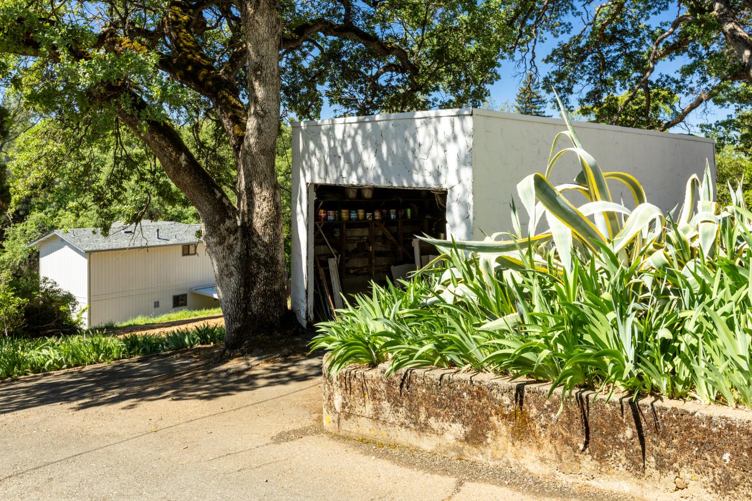 2820 Easy Street Placerville, CA 95667 - Photo 46 of 55 single car garage