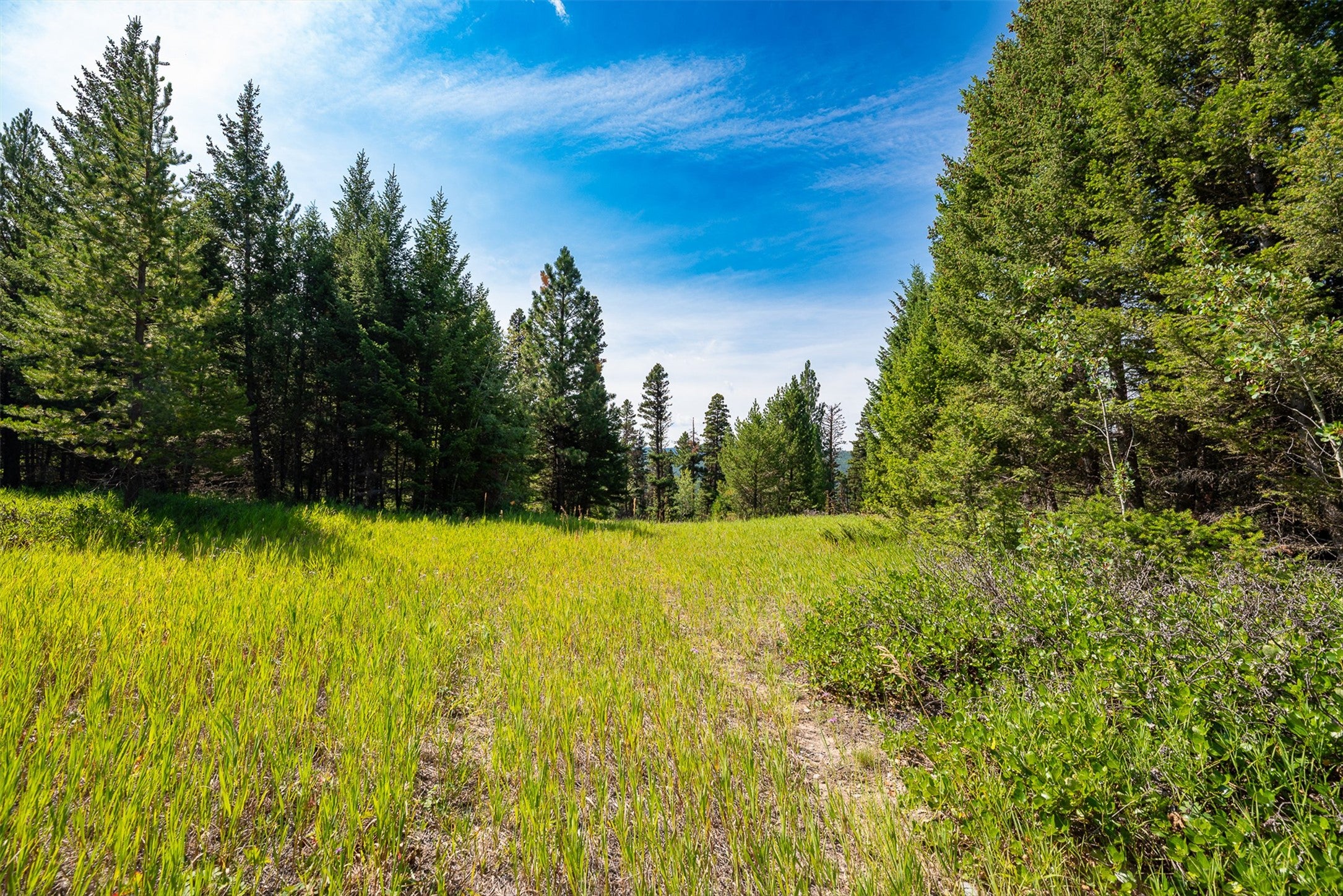 2 2 Bear Springs Road Lincoln, MT 59639 - Photo 10 of 55 Gallery Image 10