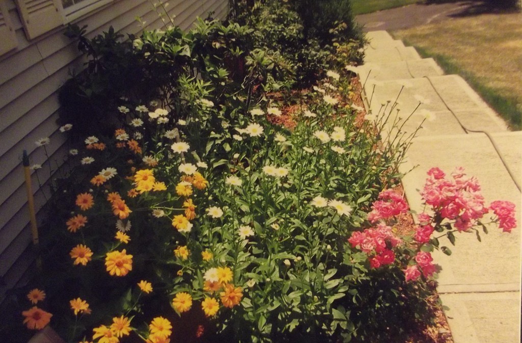 51 Camile Road Webster, MA 01570 - Photo 19 of 23 Gallery Image 19