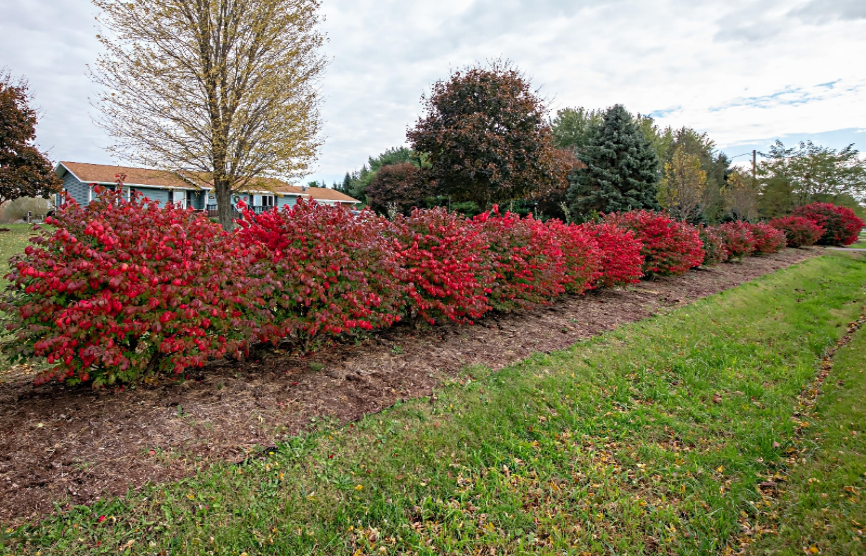 4947 Bundy Road Coloma, MI 49038 - Photo 54 of 54 DSC01268_pe