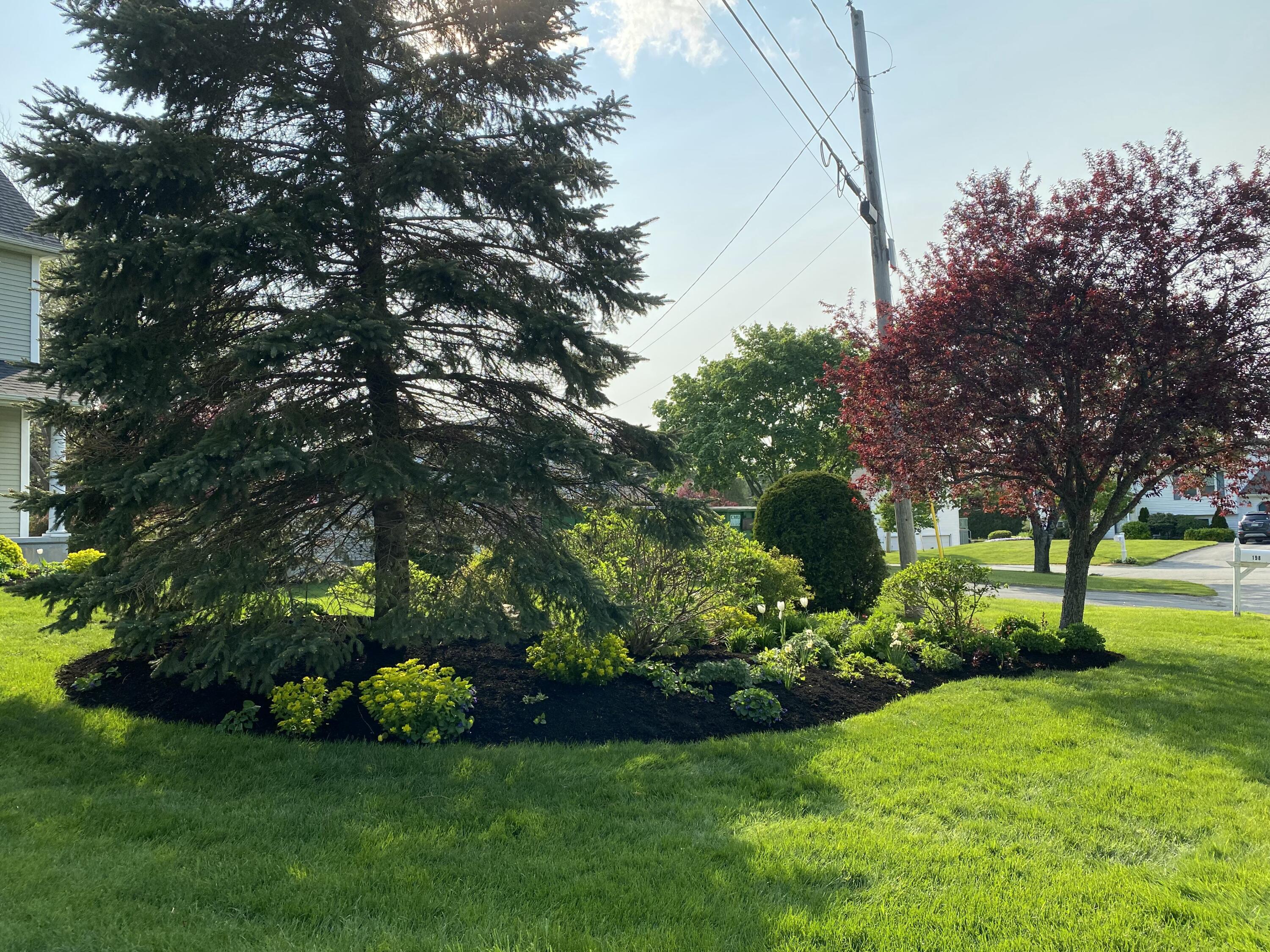 192 Laurel Circle Bangor, ME 04401 - Photo 77 of 85 IMG_3364