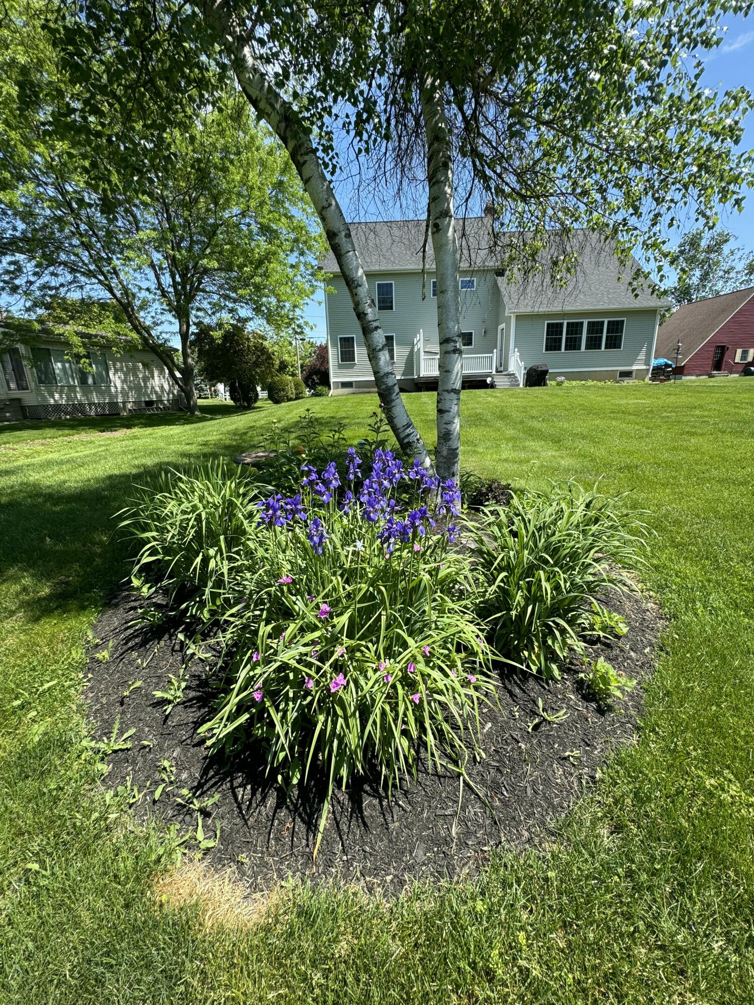 192 Laurel Circle Bangor, ME 04401 - Photo 79 of 85 IMG_5174