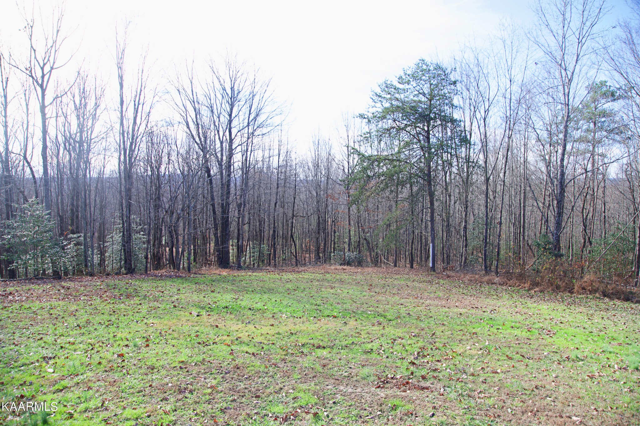 367 Catoosa Ridge Road Rockwood, TN 37854 - Photo 22 of 28 Gallery Image 22
