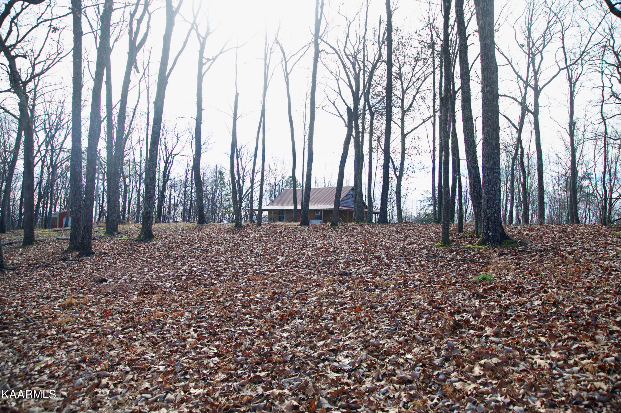 367 Catoosa Ridge Road Rockwood, TN 37854 - Photo 24 of 28 Gallery Image 24