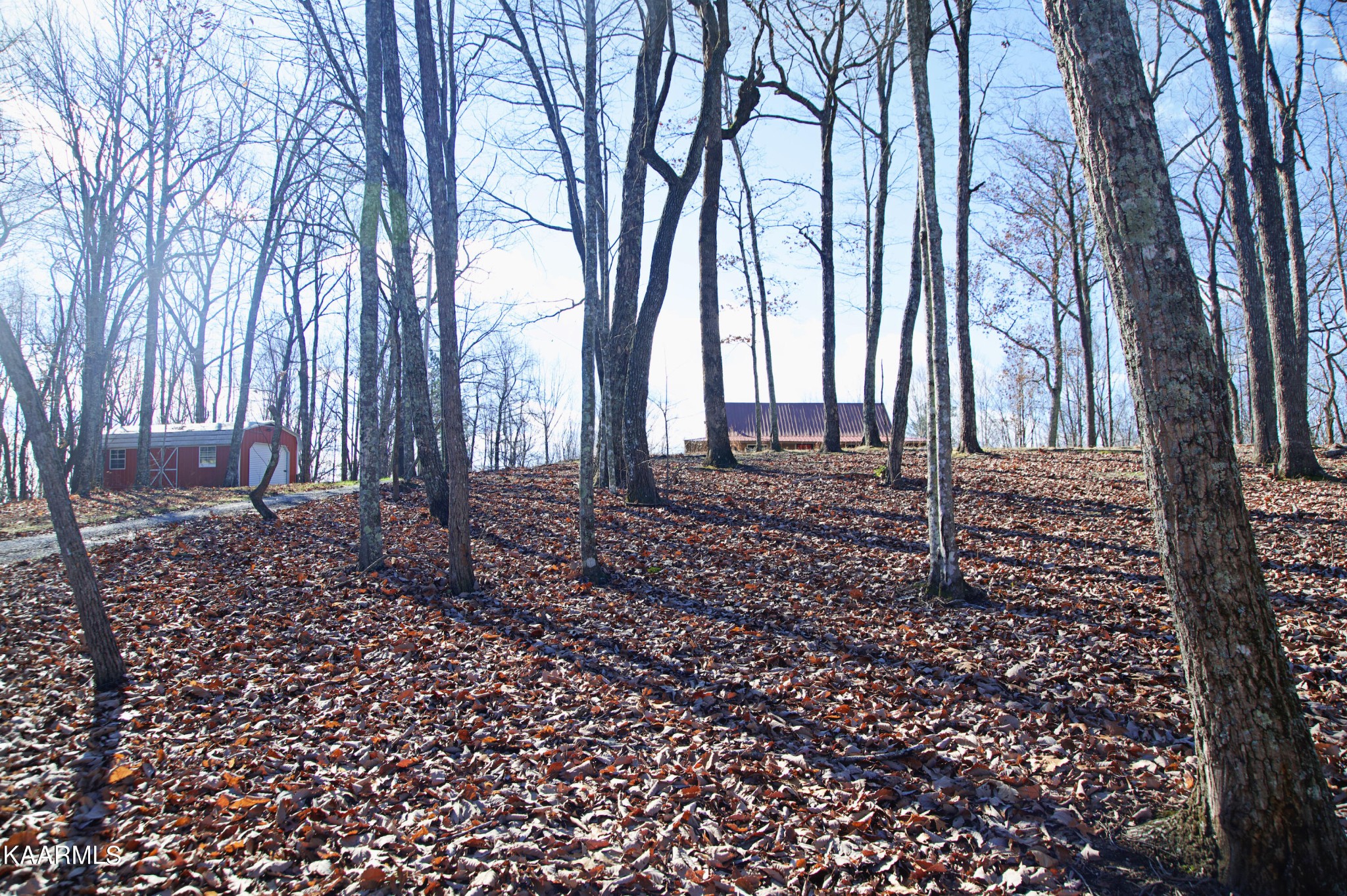 367 Catoosa Ridge Road Rockwood, TN 37854 - Photo 26 of 28 Gallery Image 26