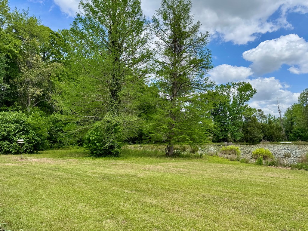 821 Harden Road Slocomb, AL 36375 - Photo 66 of 68