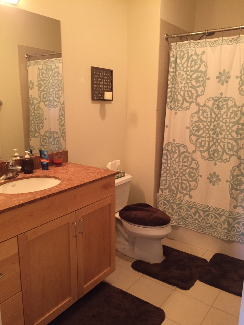 1155 West Roosevelt Road, Unit 408 Chicago, IL 60608 - Photo 13 of 16