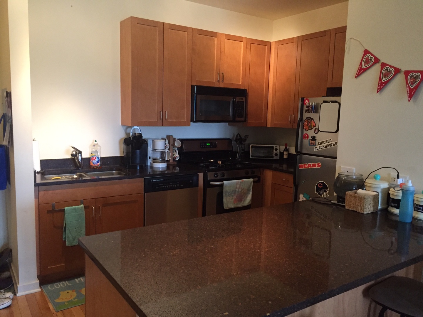 1155 West Roosevelt Road, Unit 408 Chicago, IL 60608 - Photo 4 of 16