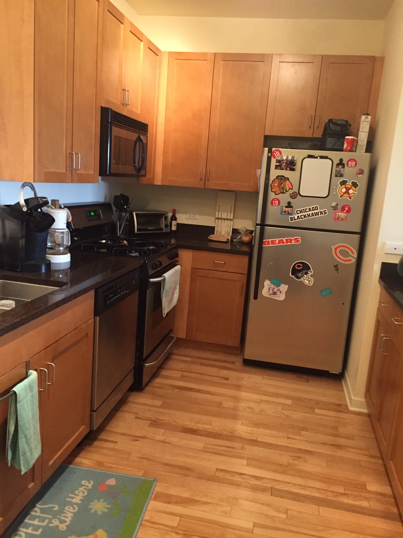 1155 West Roosevelt Road, Unit 408 Chicago, IL 60608 - Photo 6 of 16