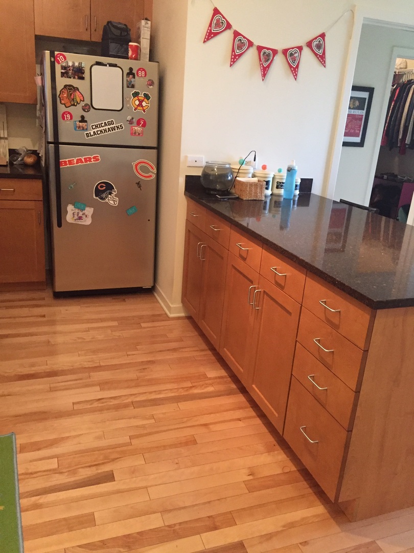 1155 West Roosevelt Road, Unit 408 Chicago, IL 60608 - Photo 7 of 16