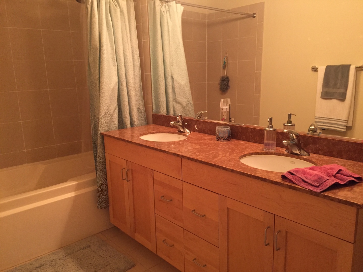 1155 West Roosevelt Road, Unit 408 Chicago, IL 60608 - Photo 9 of 16