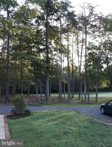 a view of outdoor space with deck and tree