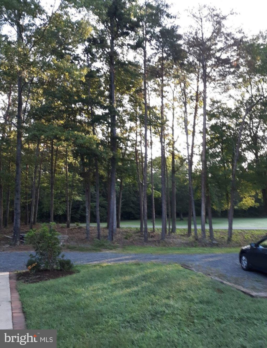 10358 Tower Road Unionville, VA 22567 - Photo 3 of 7 a view of outdoor space with deck and tree