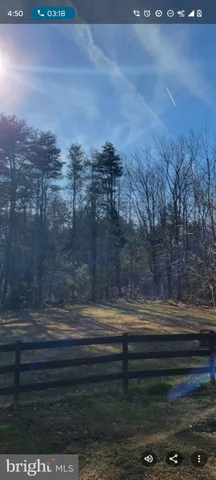 a view of a bench in back yard