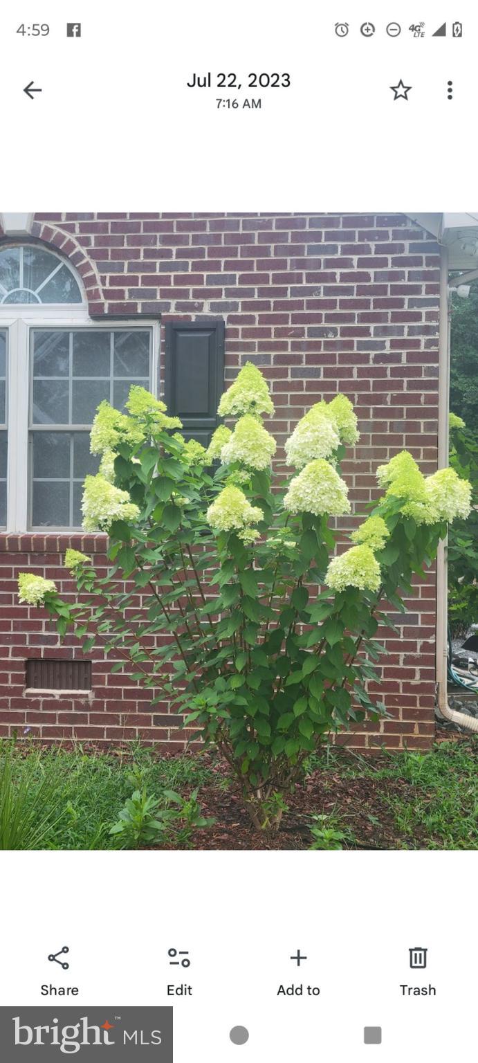 10358 Tower Road Unionville, VA 22567 - Photo 7 of 7 a view of a backyard