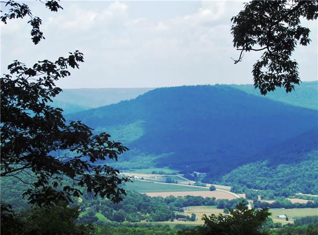 3335 Jackson Point Road Sewanee, TN 37375 - Photo 2 of 16 Gallery Image 2