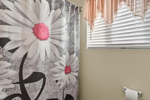 a view of a window with a flower pot on a table