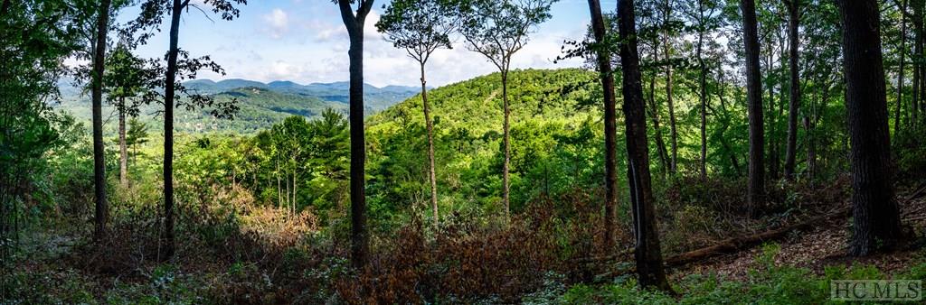 Lot 1 Forest Ridge Road Cashiers, NC 28717 - Photo 5 of 17 Gallery Image 5