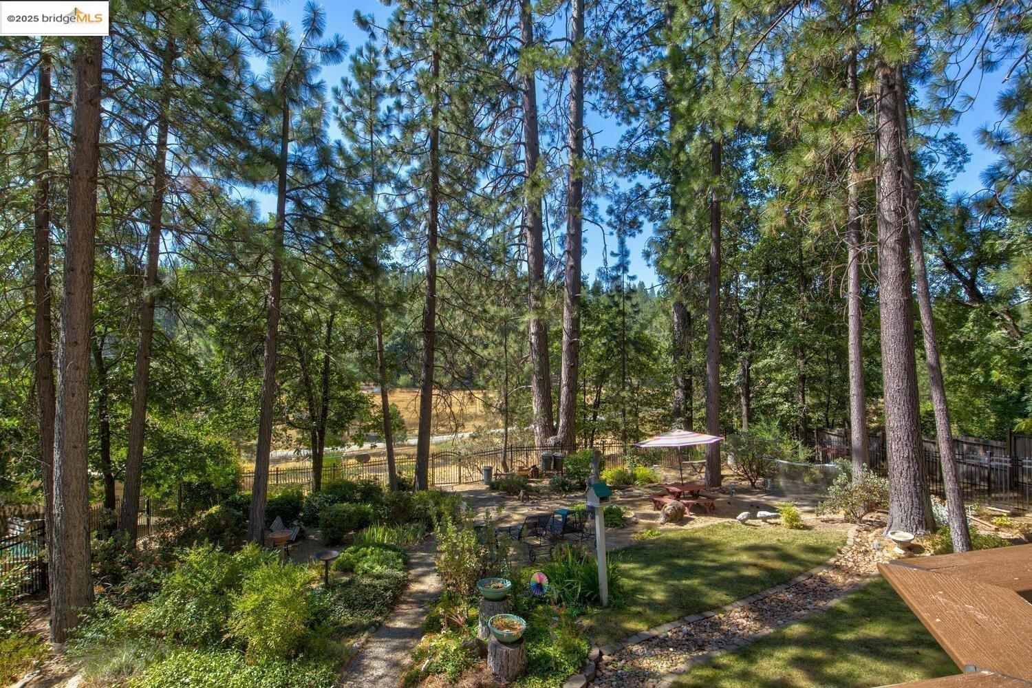 105 Avery Sheep Ranch Road Avery, CA 95224 - Photo 5 of 59 Gallery Image 5