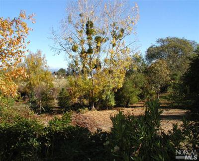 8800 Green Valley Road, Unit 30 Sebastopol, CA 95472 - Photo 8 of 8 Charming Deck has Views to the Eastern Hills