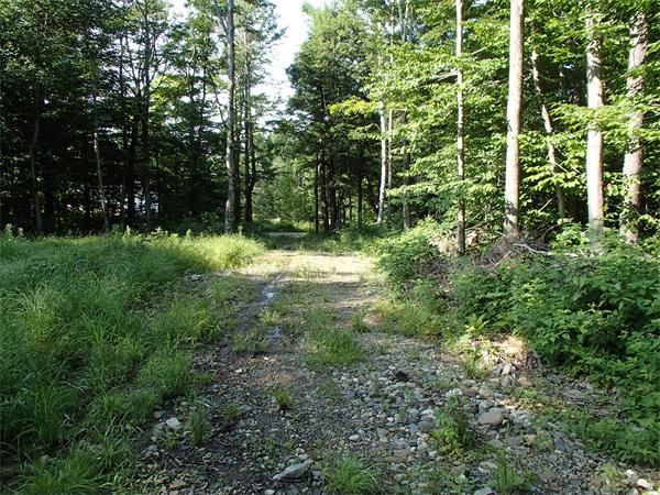 Lot 11 Ashfield Road Hawley, MA 01339 - Photo 8 of 17 Gallery Image 8