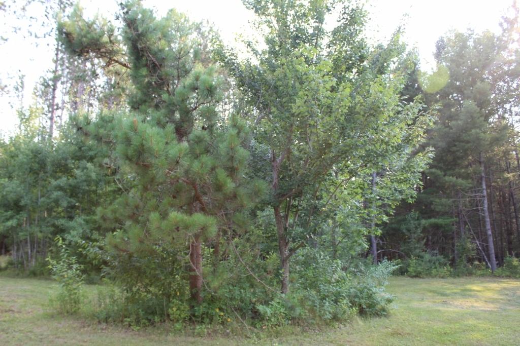 N11888 Pratt Road Elcho, WI 54428 - Photo 22 of 30 Gallery Image 22