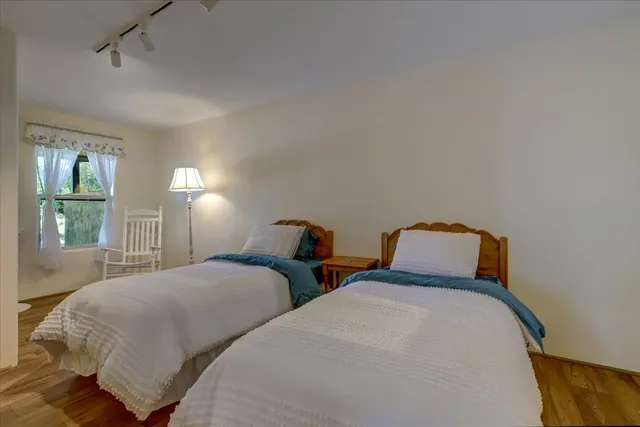 a plant that is in a garden