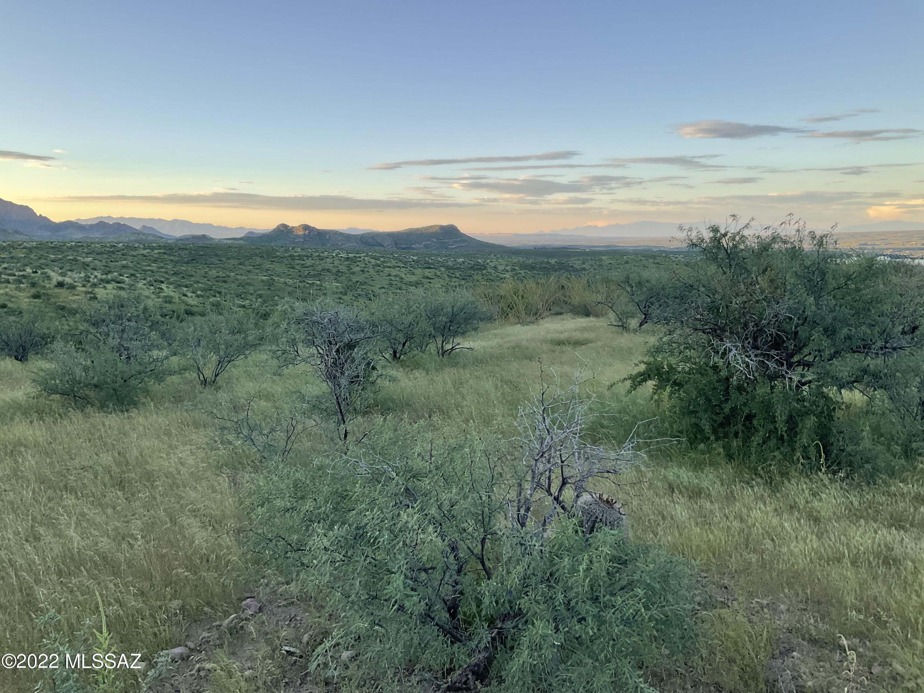Tbd Aliso Springs Road Tubac, AZ 85646 - Photo 9 of 15