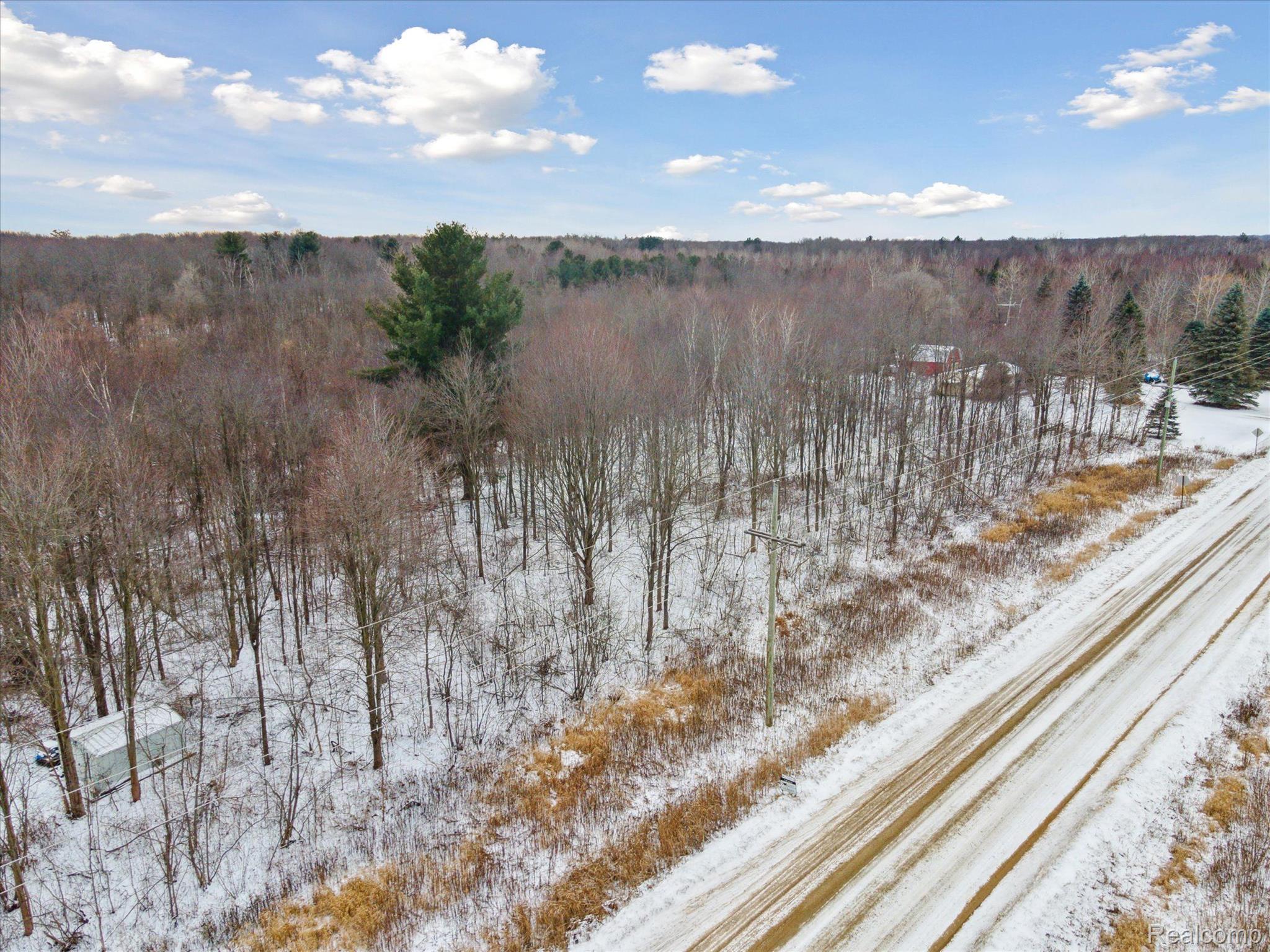 0 French Line Road Applegate, MI 48401 - Photo 12 of 25 Gallery Image 12
