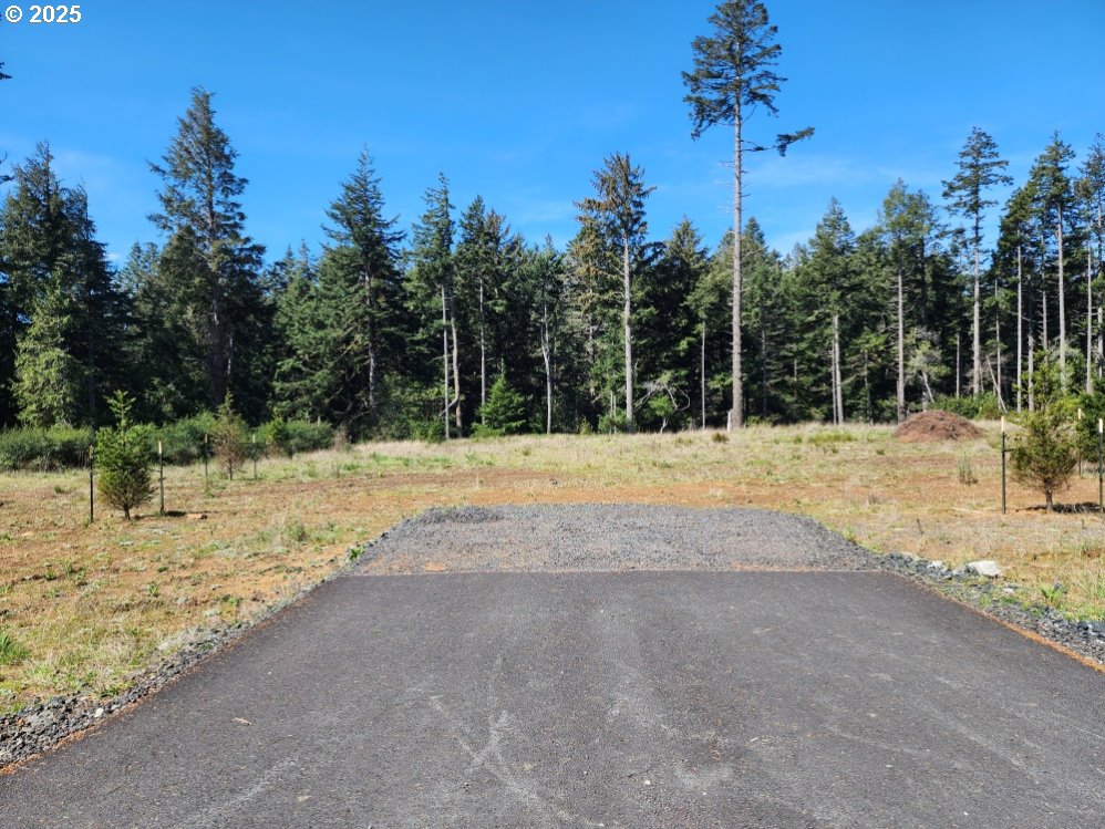 Hubbard Lane Port Orford, OR 97465 - Photo 1 of 7