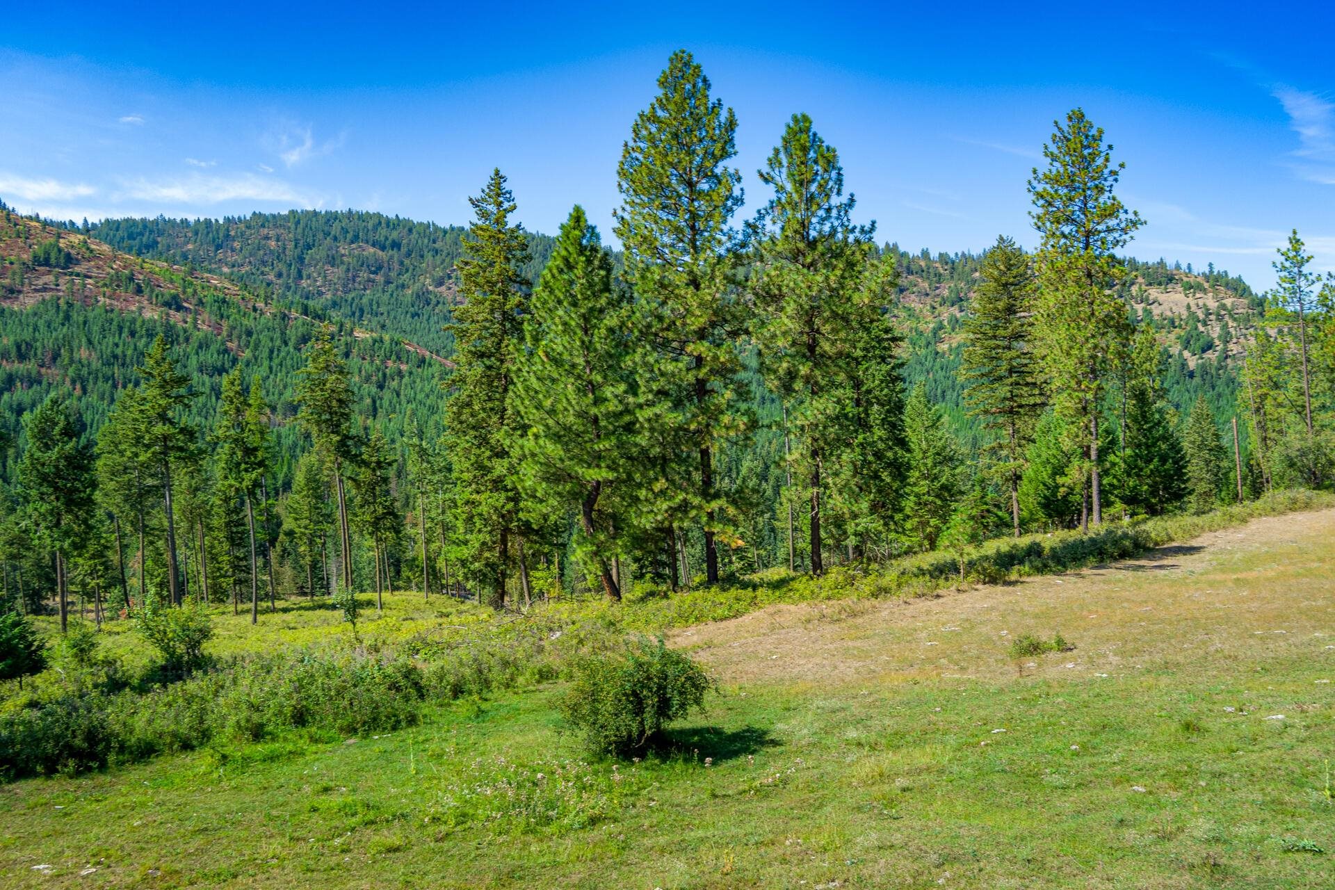 1949 Scott Road, Unit B Rice, WA 99167 - Photo 20 of 35