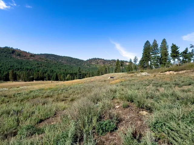 $295,000 | 1949 Scott Road, Unit B, Rice, WA 99167