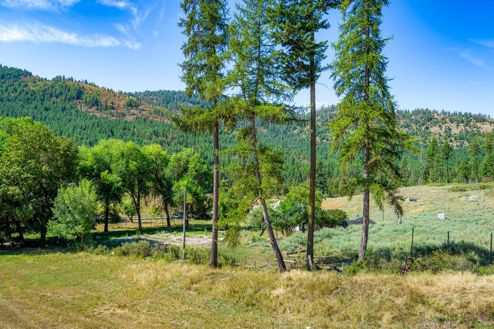 1949 Scott Road, Unit B Rice, WA 99167 - Photo 9 of 35