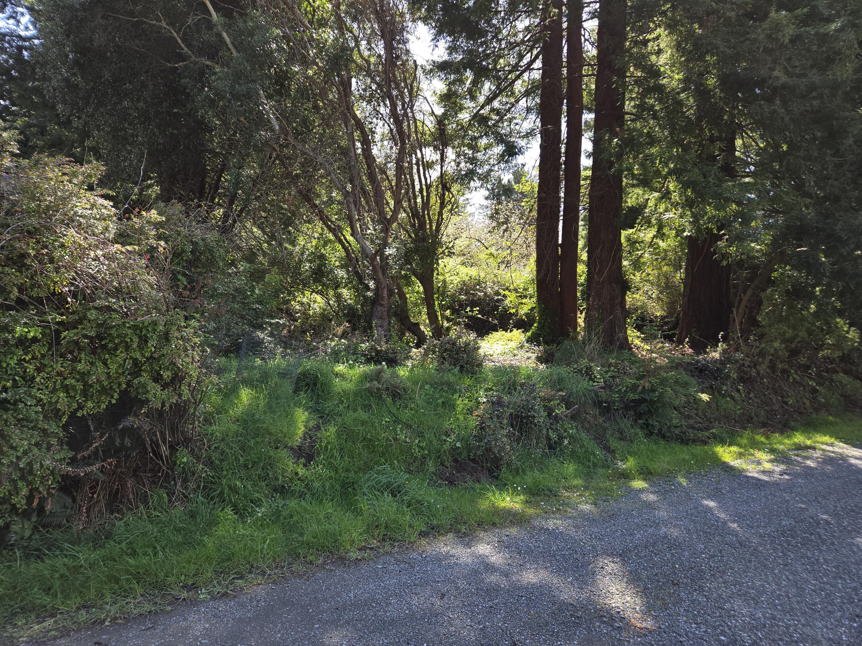 4581 Campton Road Eureka, CA 95503 - Photo 6 of 7