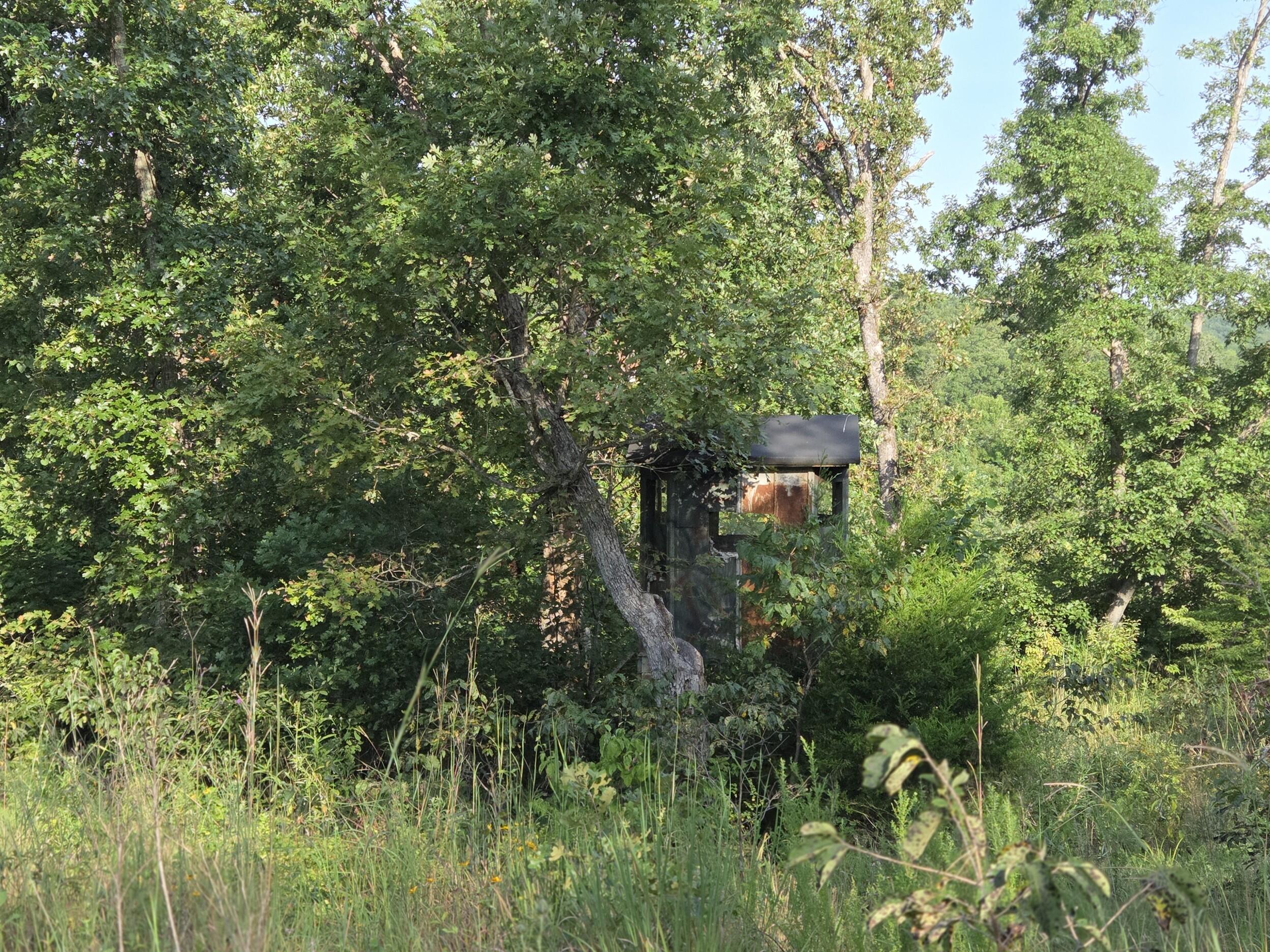 0 Sandy Road Edwards, MO 65326 - Photo 10 of 31 2026-08-16 - lrumf12
