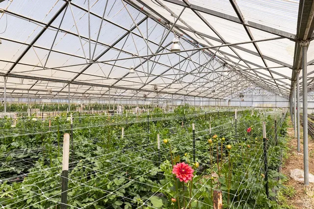 a view of a pathway of a building with a yard and plants