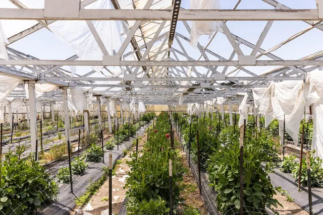 a view of a pathway with a backyard