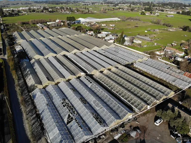 a view of a field with an ocean