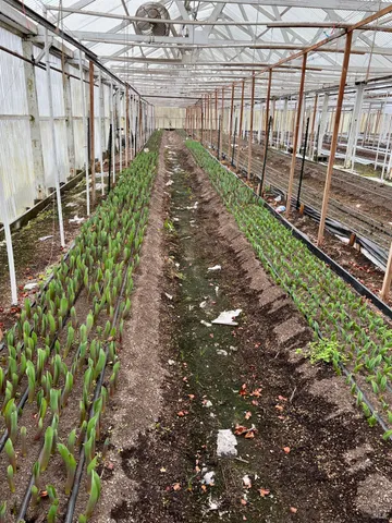 a view of a large body of water with lots of trees in the background