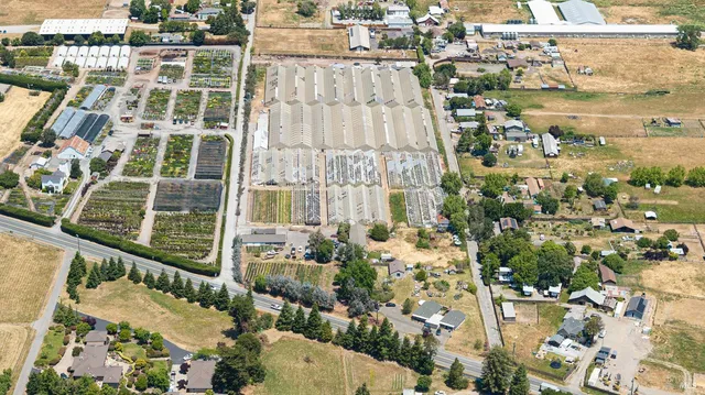 a view of a city with tall buildings