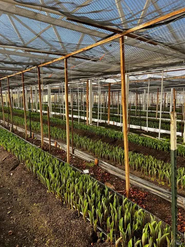 $1,900,000 | 4288 Bodega Avenue, Petaluma, CA 94952