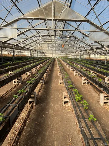 $1,900,000 | 4288 Bodega Avenue, Petaluma, CA 94952