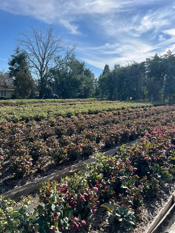$1,900,000 | 4288 Bodega Avenue, Petaluma, CA 94952