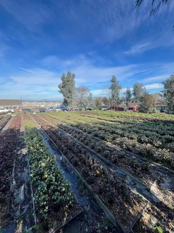 $1,900,000 | 4288 Bodega Avenue, Petaluma, CA 94952